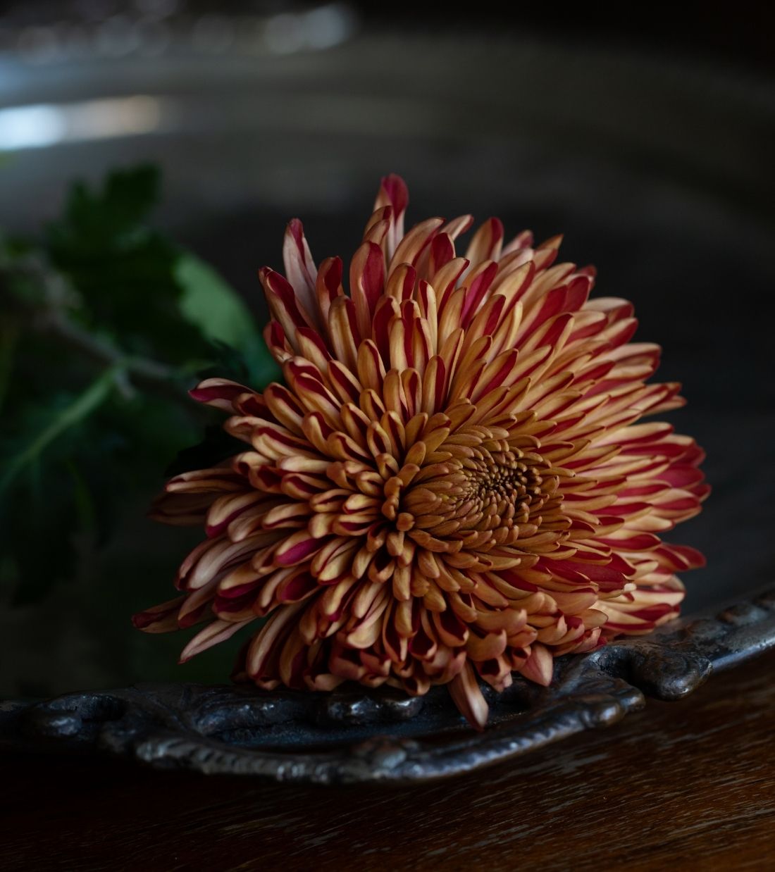 Vefkdesign-anasayfa-2