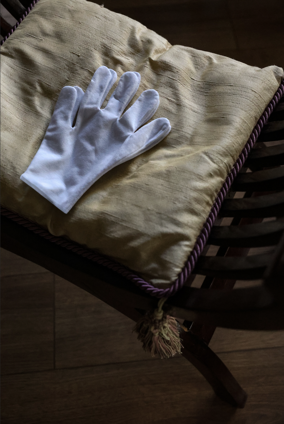 Gümüş Temizleme Eldiven